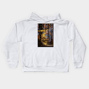 autumn in Forest Kids Hoodie